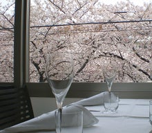シーガル倶楽部 グルメ探訪レポート-カシーナ桜