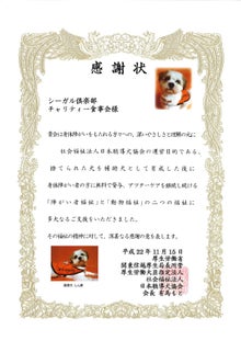 シーガル倶楽部 グルメ探訪レポート-状