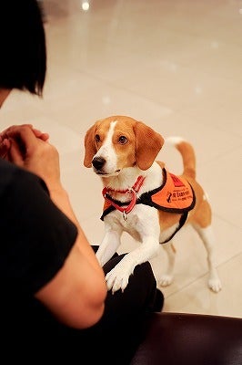 シーガル倶楽部 グルメ探訪レポート-かる