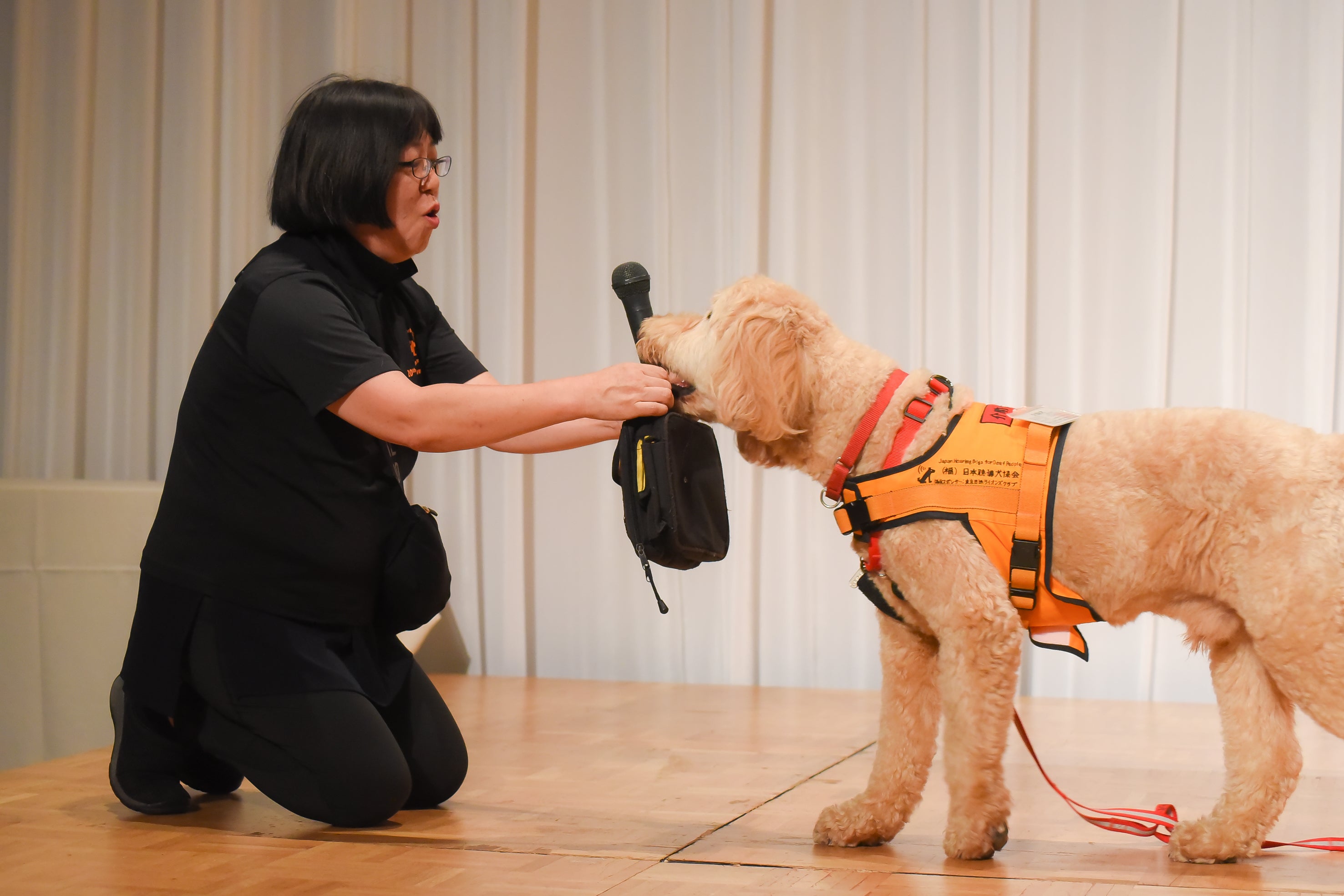 聴導犬のデモンストレーション